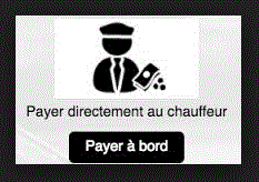 chauffeur aeroport lyon saint exupéry